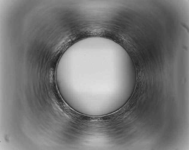X0000102850744200808181047