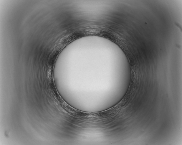 X0000102850745200808181047