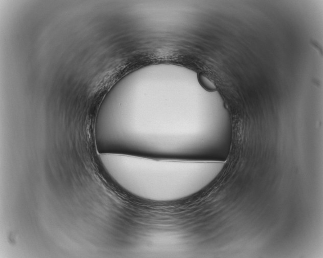 X0000102850746200808181047