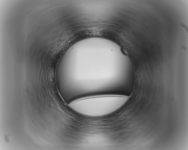 X0000102850747200808181047