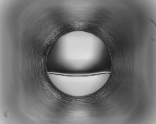 X0000102850750200808181047