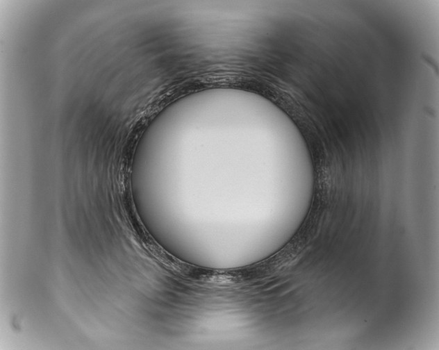X0000102850751200808181047
