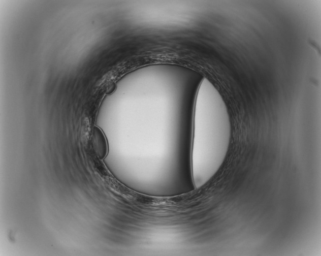 X0000102850752200808181047