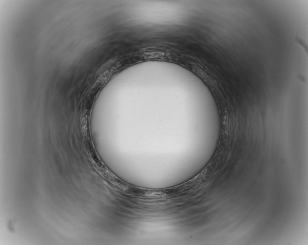 X0000102850753200808181047