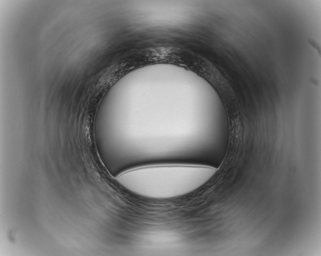 X0000102850754200808181047