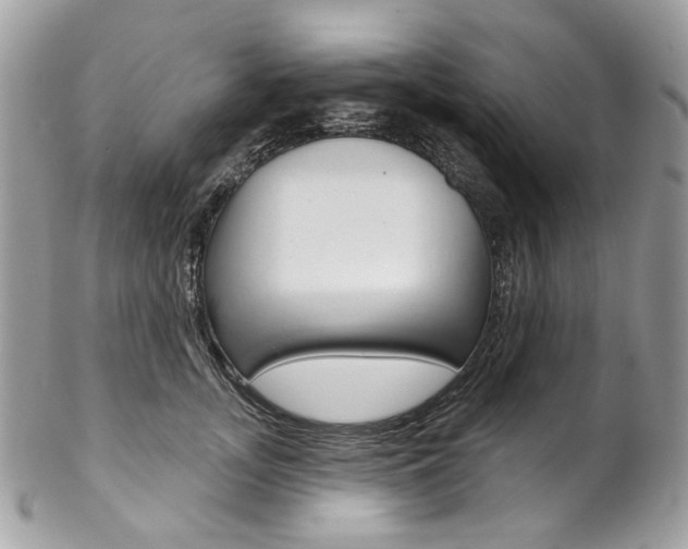 X0000102850755200808181047