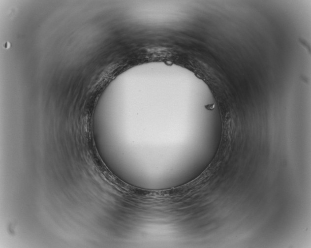 X0000102850756200808181047