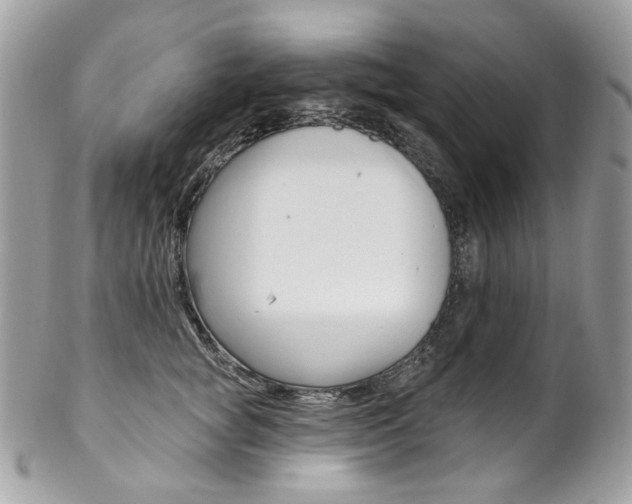 X0000102850757200808181047