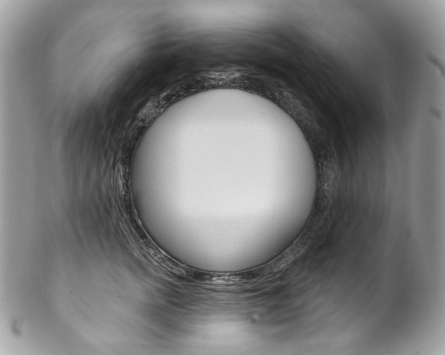 X0000102850758200808181047