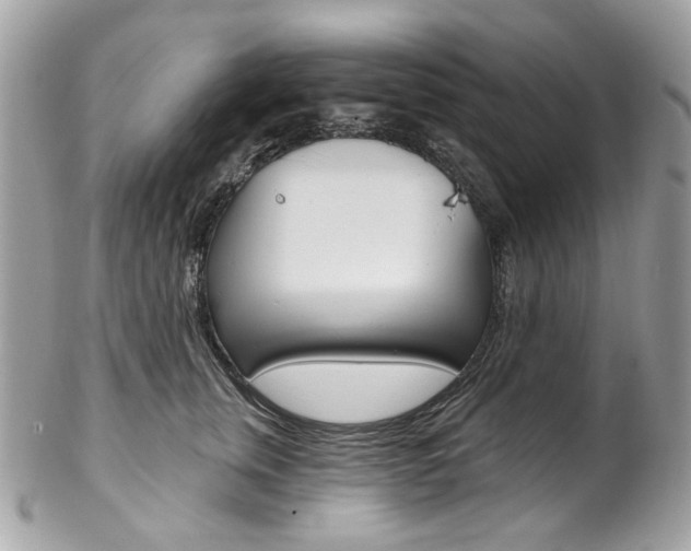 X0000102850759200808181047