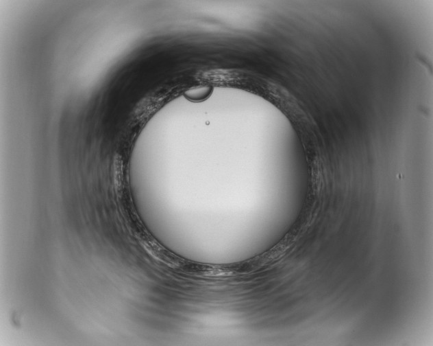 X0000102850760200808181047