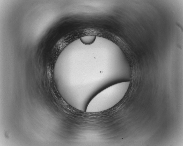 X0000102850761200808181047