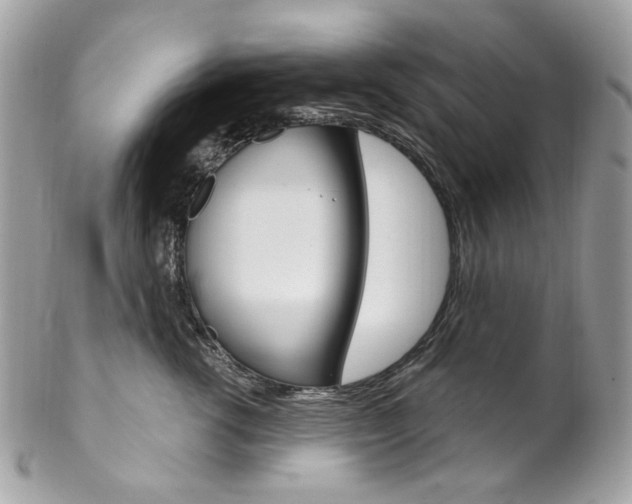 X0000102850762200808181047