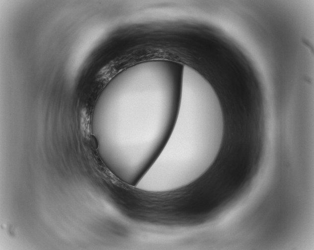 X0000102850766200808181047
