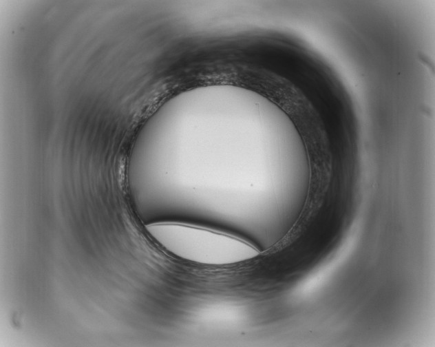 X0000102850767200808181047