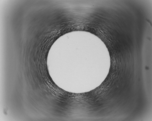 X0000102850769200808181046