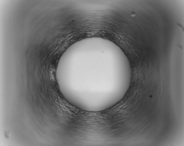 X0000102850770200808181046