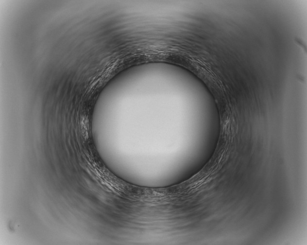 X0000102850772200808181046