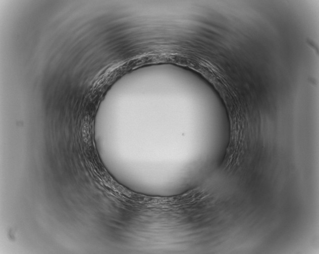 X0000102850773200808181046
