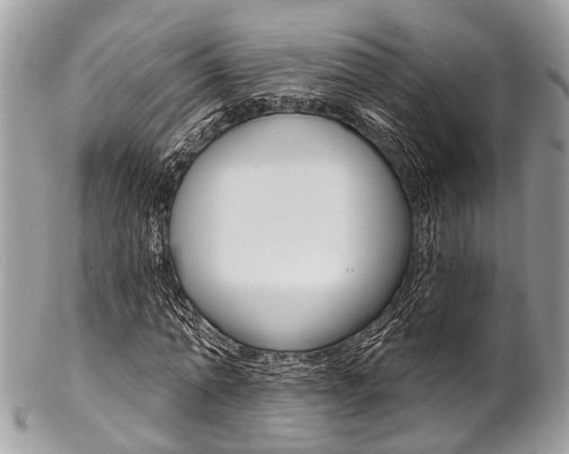 X0000102850774200808181046