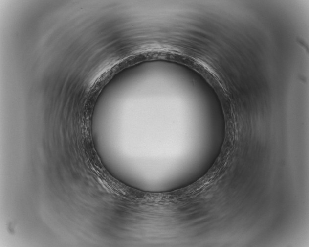 X0000102850775200808181046