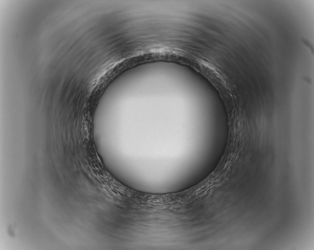 X0000102850776200808181046