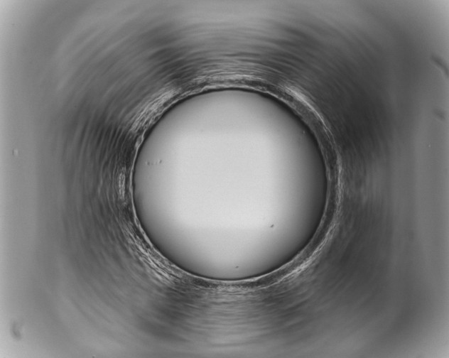 X0000102850777200808181046