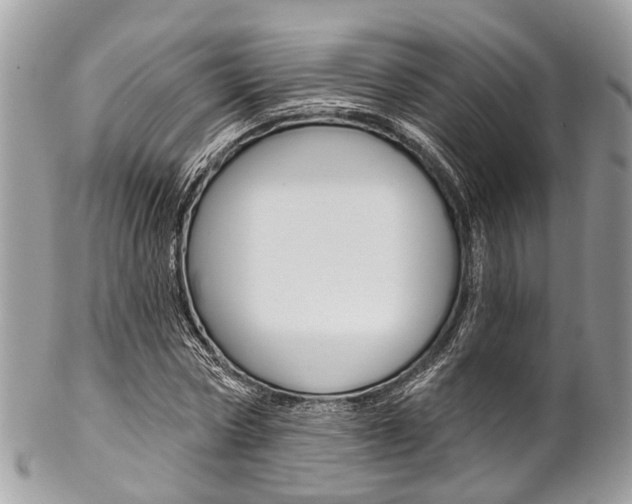 X0000102850778200808181046