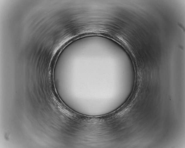 X0000102850779200808181046