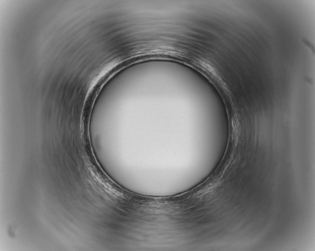 X0000102850780200808181046
