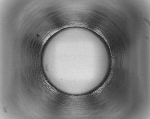 X0000102850781200808181046