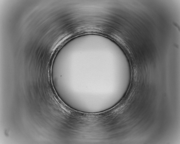 X0000102850782200808181046