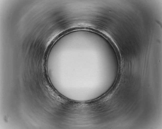 X0000102850783200808181046