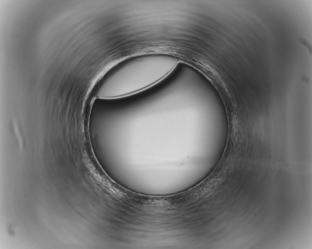 X0000102850784200808181046