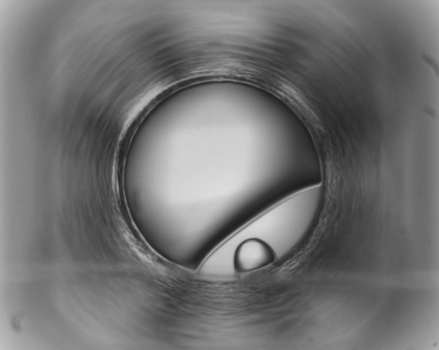 X0000102850788200808181046