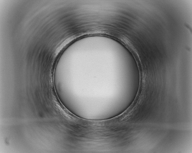 X0000102850789200808181046