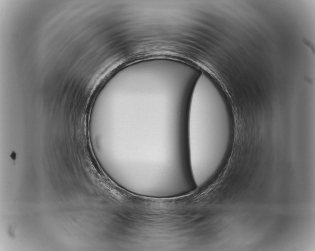 X0000102850790200808181046
