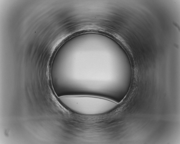 X0000102850791200808181046