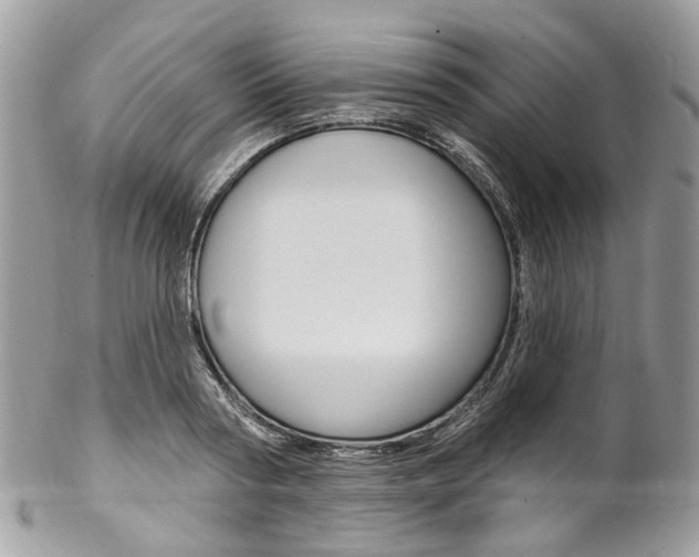 X0000102850794200808181046