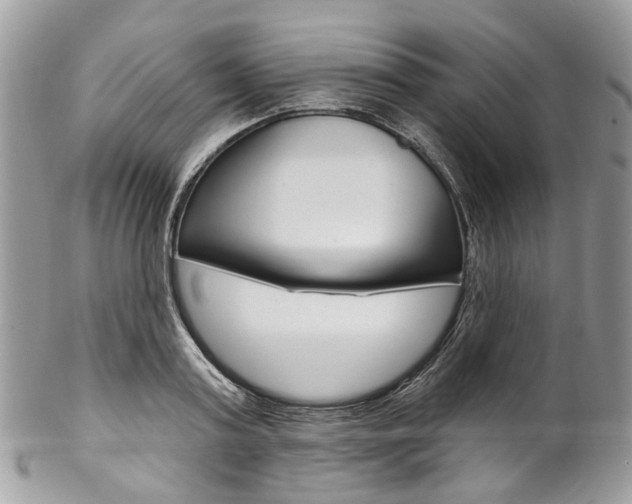 X0000102850795200808181046