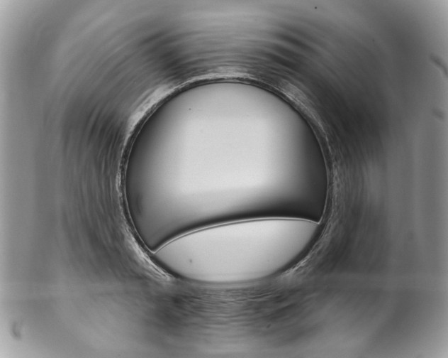 X0000102850797200808181046