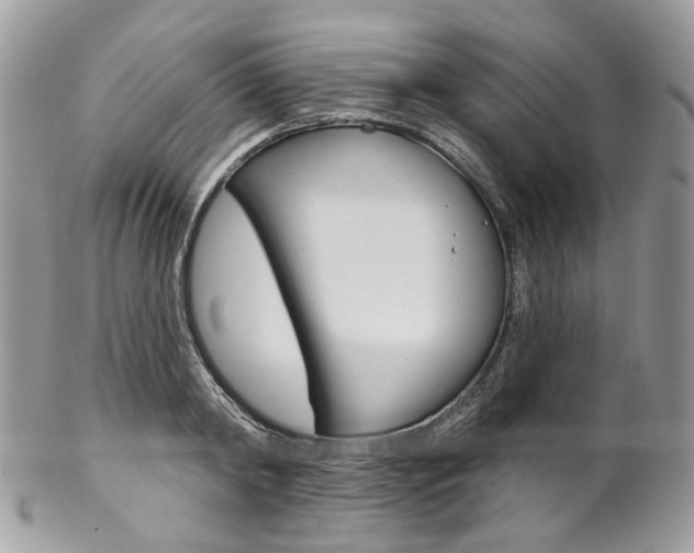 X0000102850798200808181046