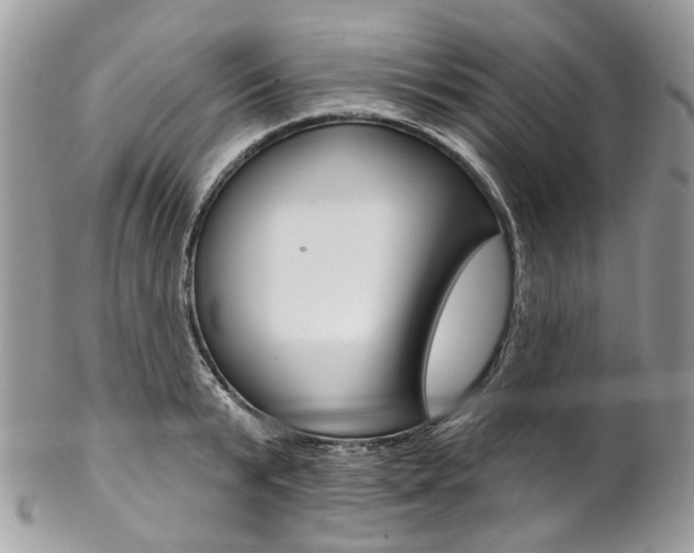 X0000102850799200808181046