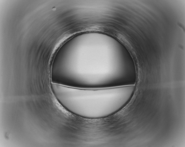 X0000102850800200808181046