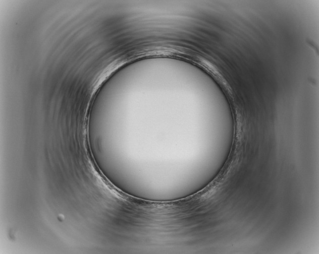 X0000102850802200808181046