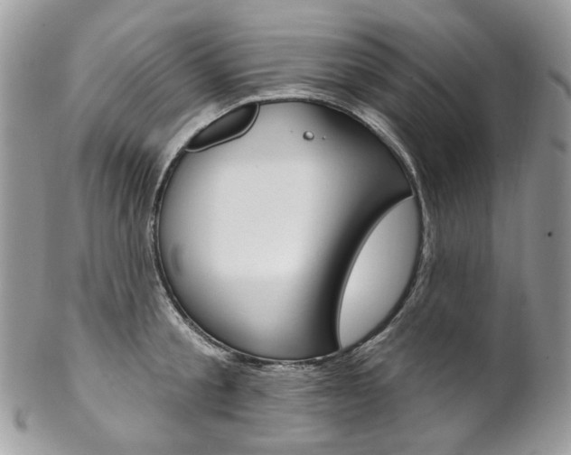 X0000102850805200808181046