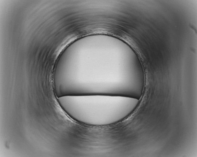 X0000102850806200808181046
