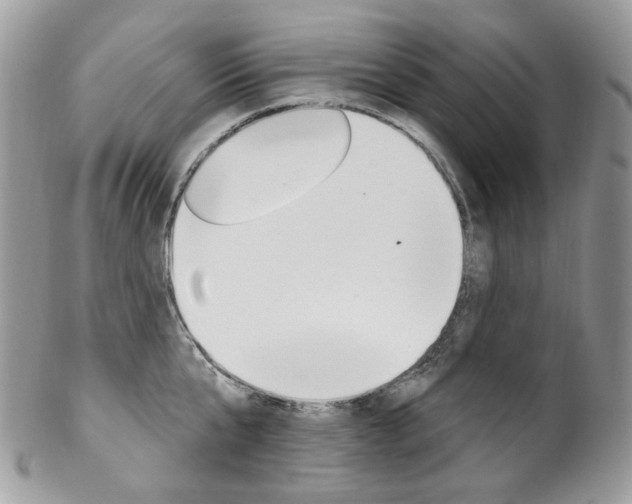 X0000102850807200808181046