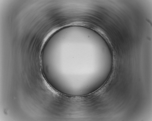 X0000102850808200808181046