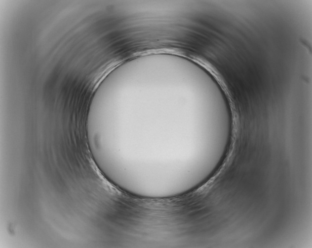 X0000102850809200808181046
